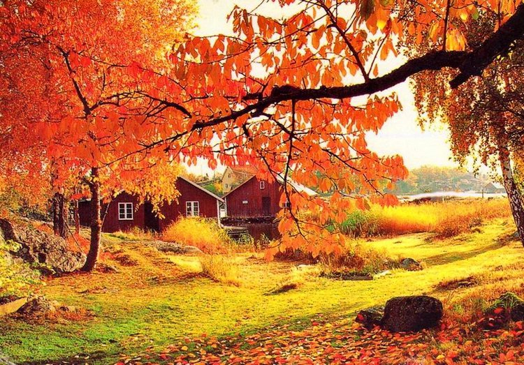 Красотка-осень — Болталка и разговоры обо всем: жизнь