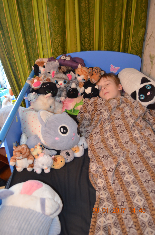 Коллекция моего сына. Не куклы - кошки. Продолжение (фото 7)