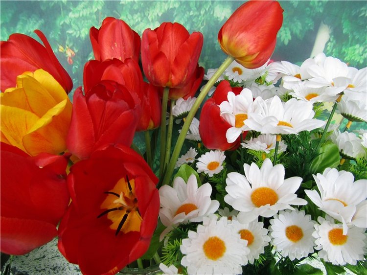 Крокодильчики мои, цветики речные