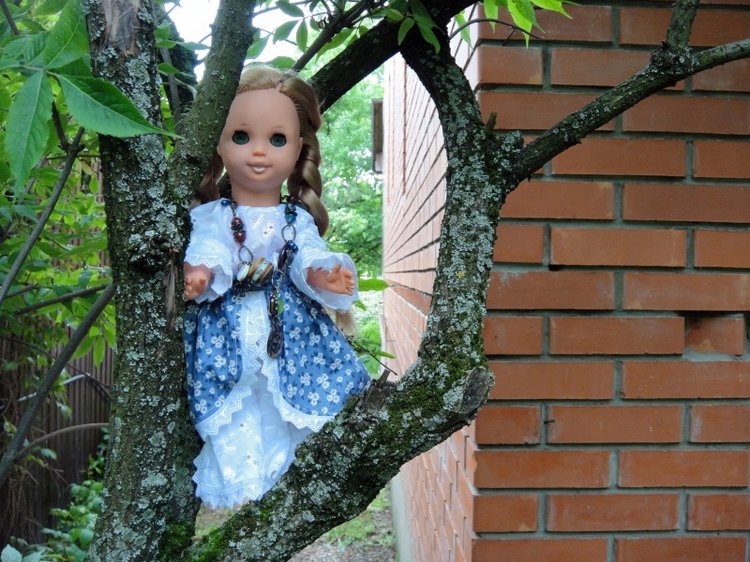 Как Шарлотта ездила на дачу