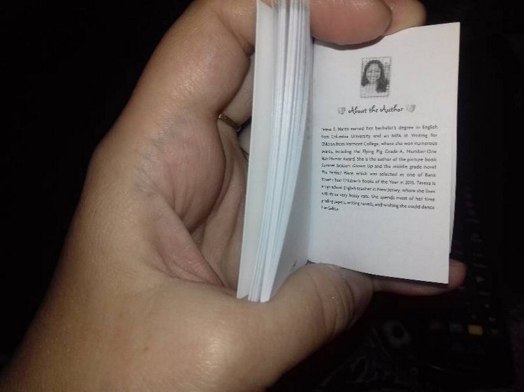 Обзор кукол мини American girl. Часть 6. Кэролайн Абботт и Габриэла Макбрайд