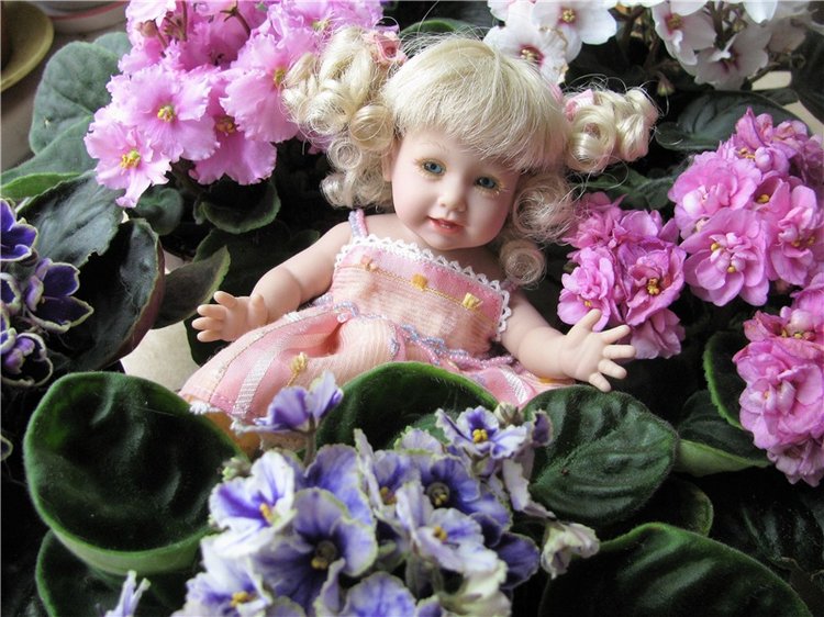 Моя Адора Фиалка — Куклы Adora (Адора): коллекционные виниловые