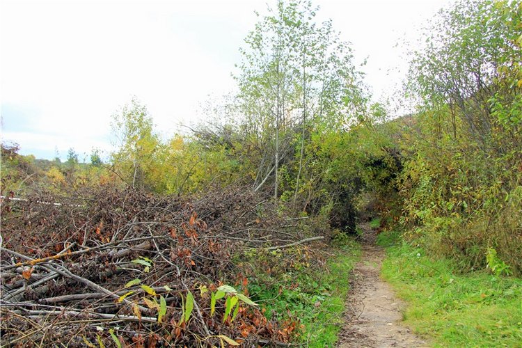 Тверской Водопад — Туризм и путешествия: фотоотчеты из поездок