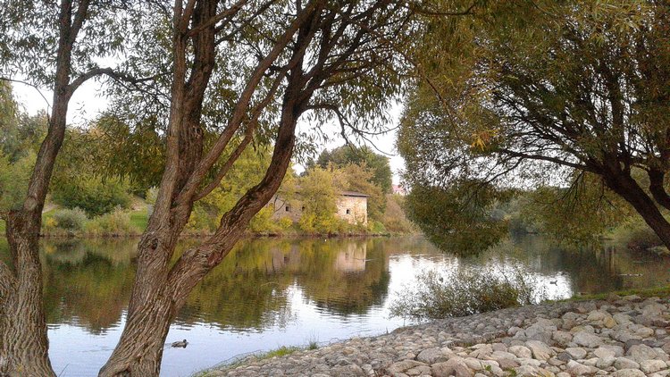 Зимнее солнце. Глава 6. Дом там, где сердце