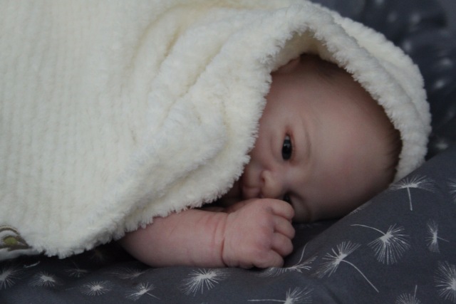 Моя прелесть кукла реборн Элины Кудрявцевой