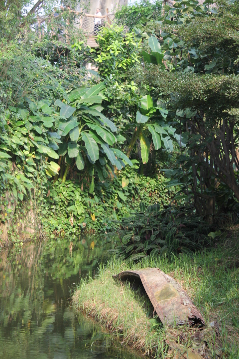 По Германии: зоопарк Лейпцига, часть 2