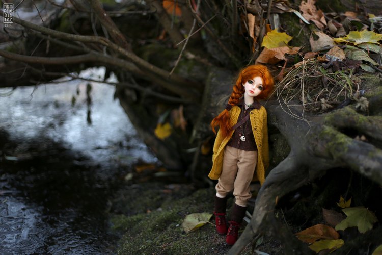 Мирвен в парке в последние дни осени (фото 4)