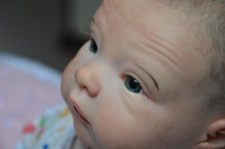 И еще раз Софийка — Куклы Реборн (Reborn): работы мастеров