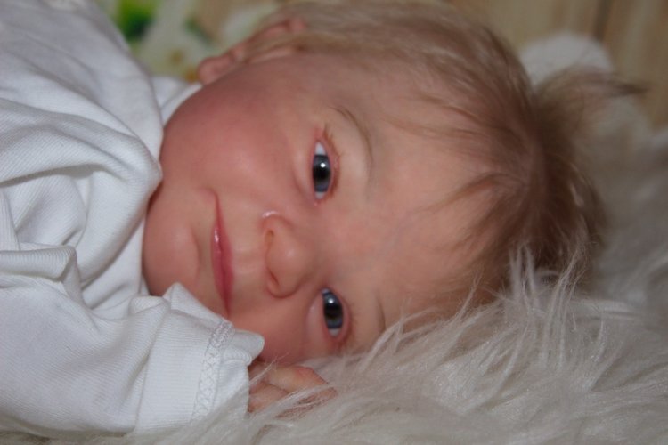 А у нас пополнение! И нас очень много (фото 8)