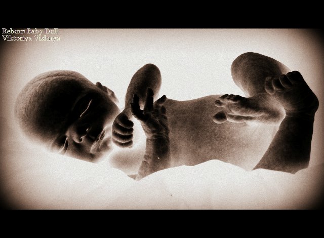 Лапуля Knox... Куколка реборн Виктории Вишни (фото 2)