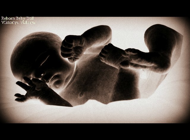 Лапуля Knox... Куколка реборн Виктории Вишни (фото 10)