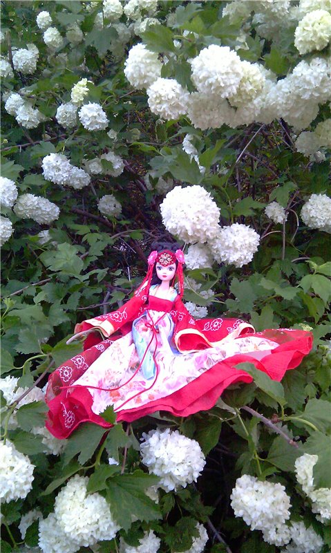 Невесты и принцессы — Куклы Kurhn (Курн) и Sonya Rose (Соня): Золотая коллекция (фото 5)