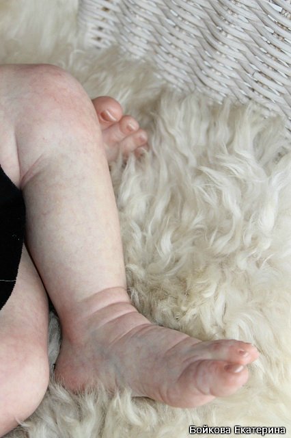 Кукла реборн Frida от Karola Wegerich в моём исполнении