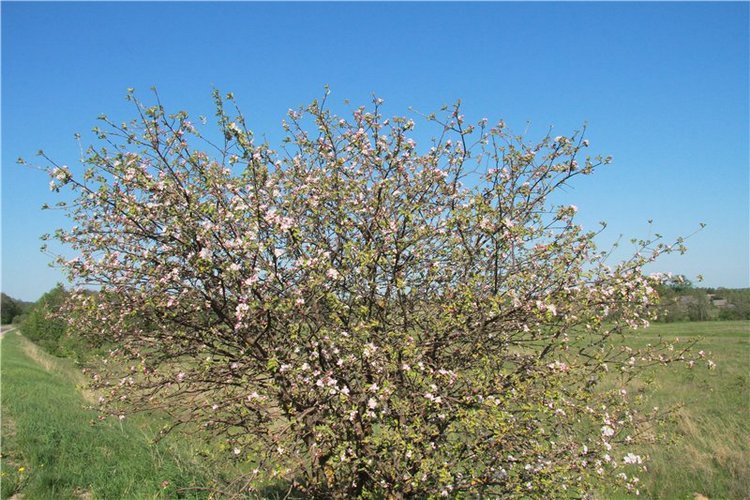 Субботний вояж. Заключительная часть
