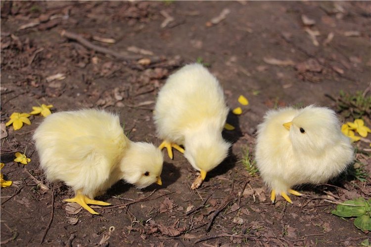 Весёлая семейка на прогулке (фото 10)