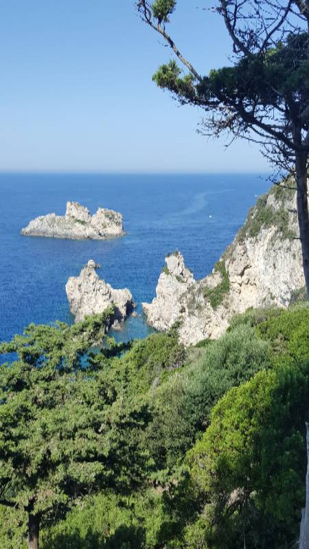 Новое путешествие Панг-Панга