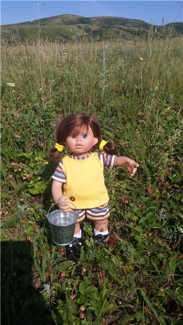 Земляничный день — Домашние коллекции кукол: фото собраний