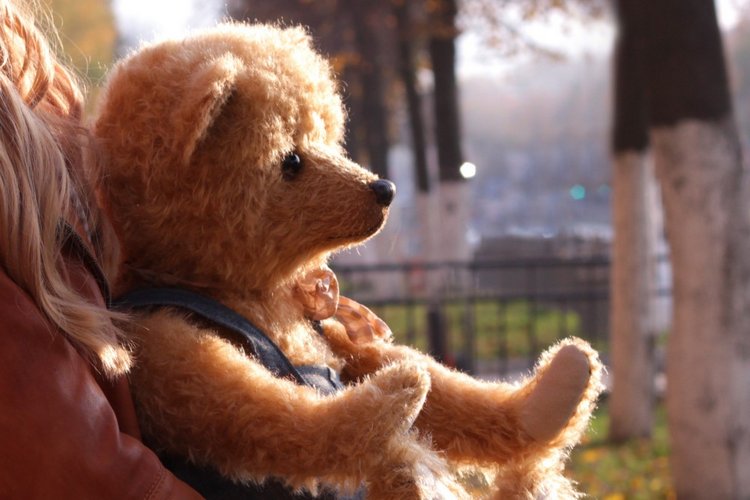 Большой мишка тедди на прогулке (фото 2)