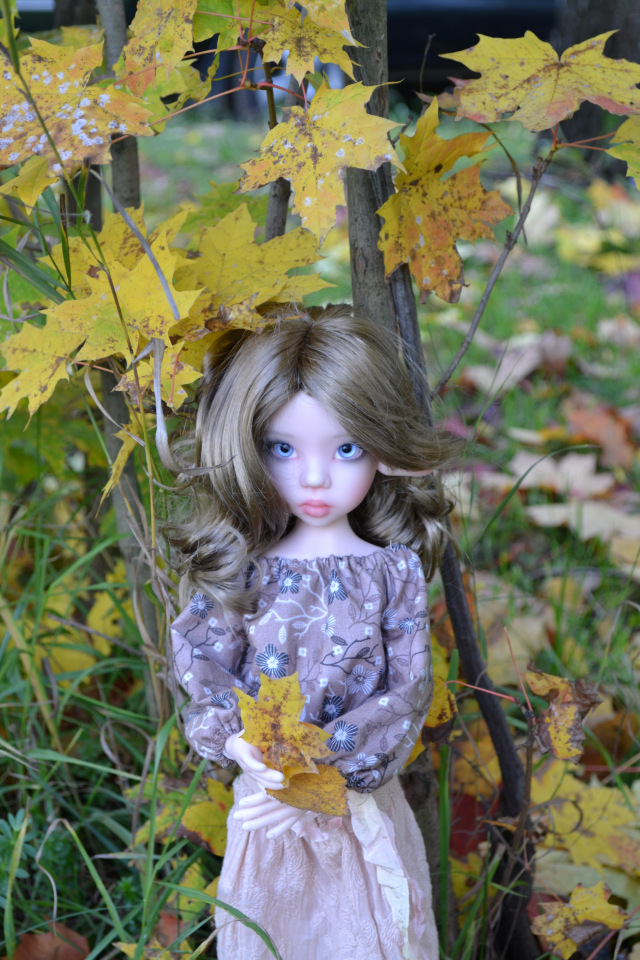 В золоте осенних листьев — Куклы Kaye Wiggs (Кайе Виггс): авторские BJD (БЖД) (фото 9)