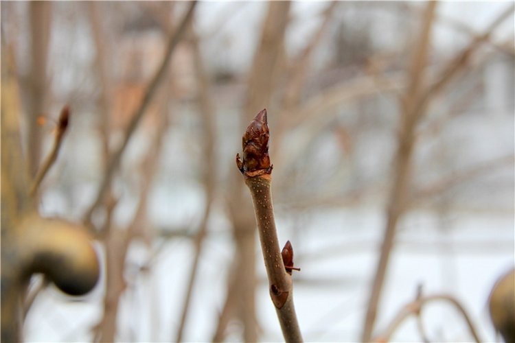 Весеннее путешествие. Продолжение