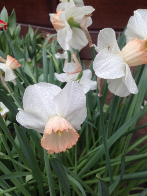 Фотосессия куклы ГДР Косолапки в Аптекарском огороде (фото 10)