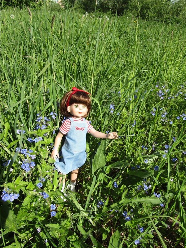 Бетси Robert Tonner. С красным бантом по зеленому лугу