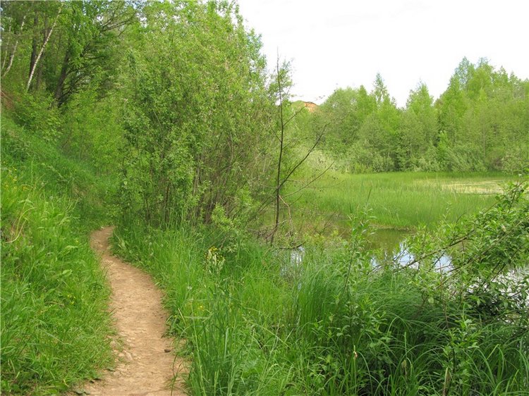 Тверской Водопад — Туризм и путешествия: фотоотчеты из поездок