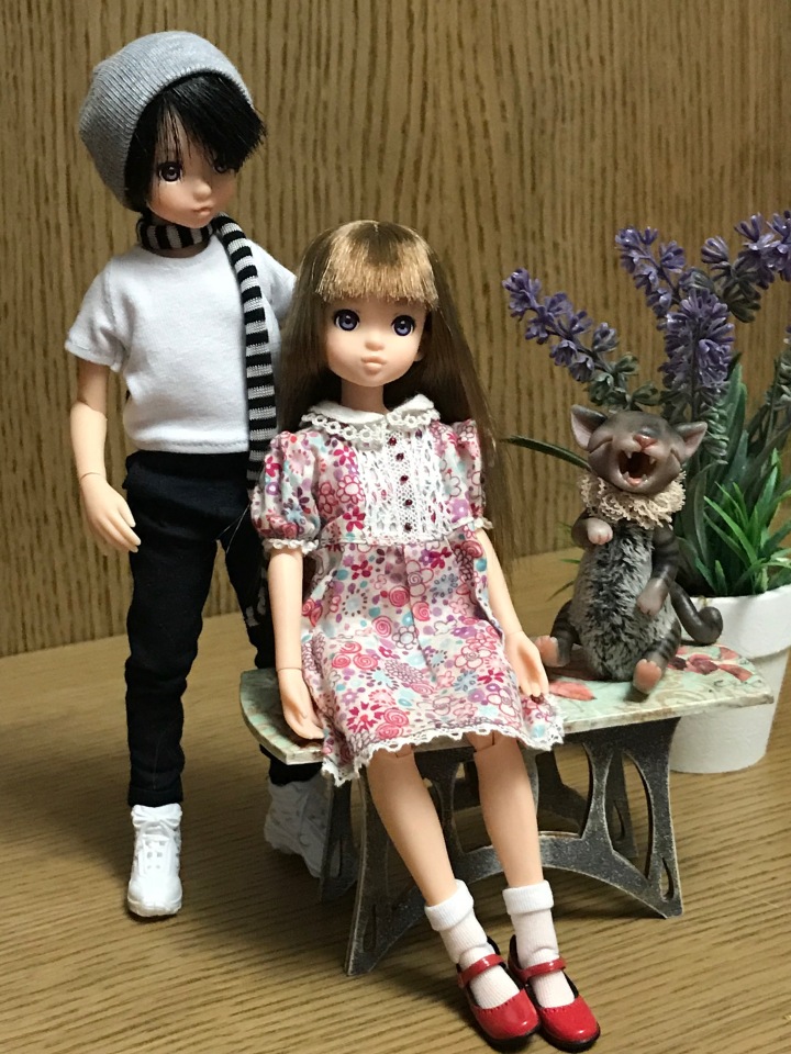 Крошки Руроко — Куклы Momoko и Ruruko (Petworks (фото 4)
