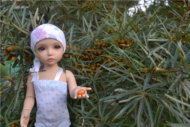 Один день из жизни Евочки на даче. Элин от Iplehouse (фото 6)