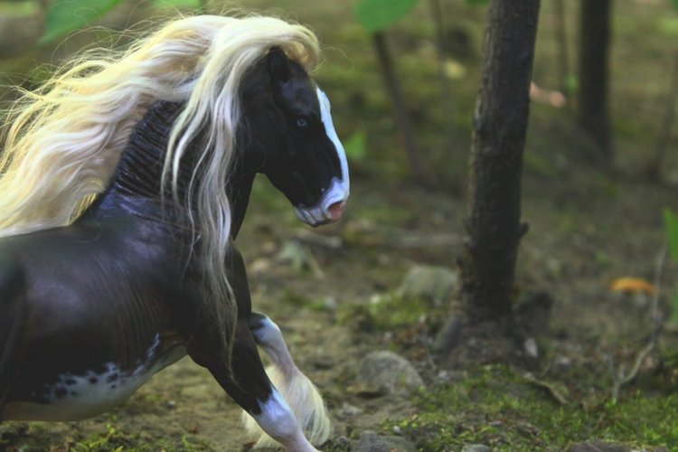 Жители моего дома — Авторские работы в частных коллекциях: домашние фото кукол и игрушек (фото 4)