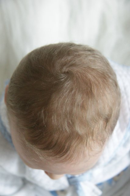 Ноэльчик... очень серьезный малыш... Куколка реборн Вишни Виктории