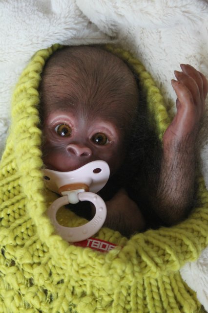 Обезьянка Bindi кукла реборн Элины Кудрявцевой