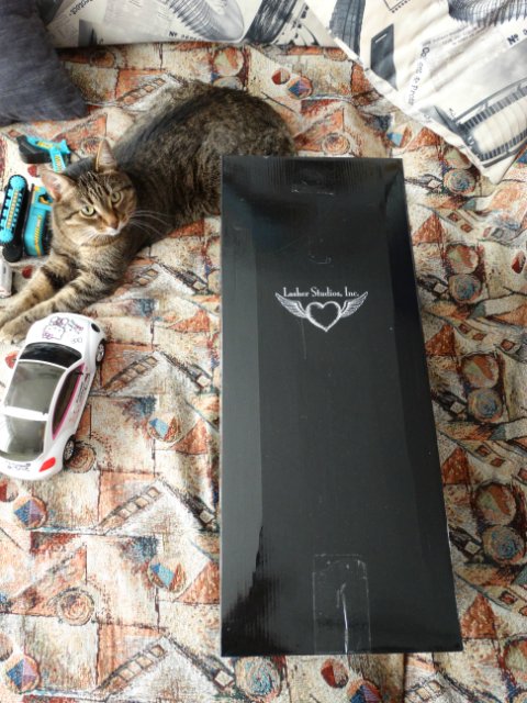 Новый поворот или приезд Тианы от Ким Лашер