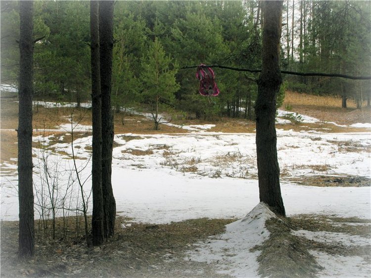 Весна идёт - весне дорогу! Бонус: фото солнечного затмения 2015. LittleFee Bonnie от Fairyland