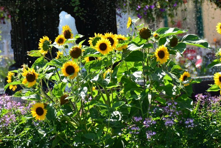 Ницца, Марсель, море и горы