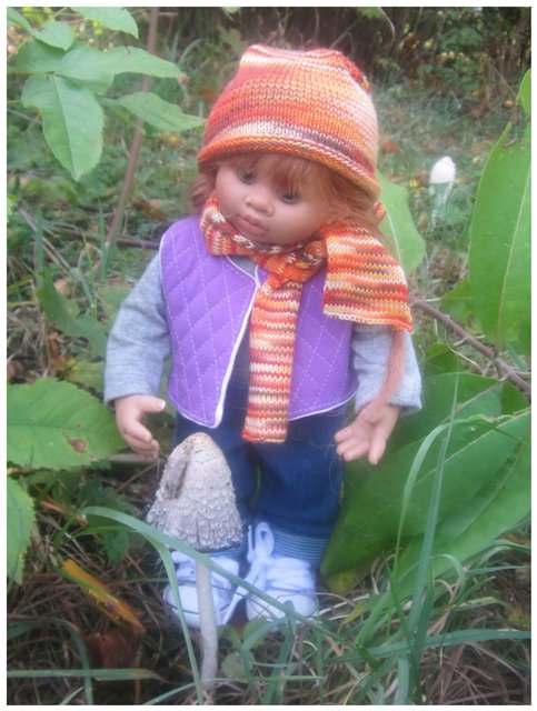 "Неприятный случай" или Ёжик, осень, грибочки. Wichtel, Rosemarie Anna Muller