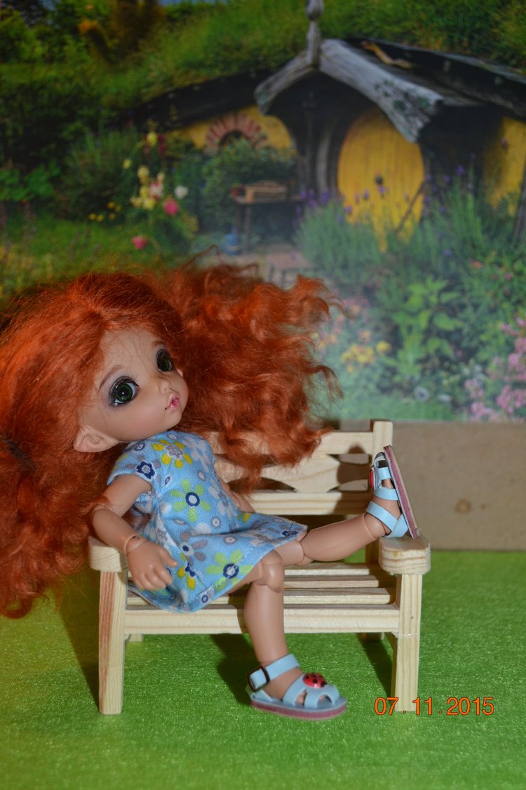 Такие чудные ПукиФи - наш новый член семьи (фото 8)