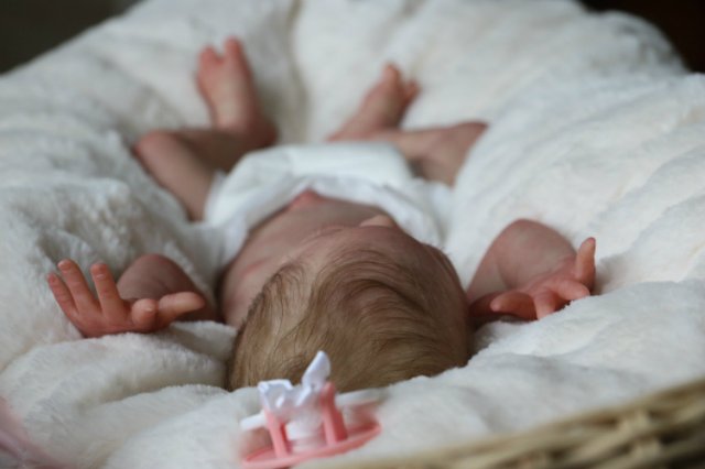 Спящая малышка Рози 2. Куколка реборн Виктории Вишни