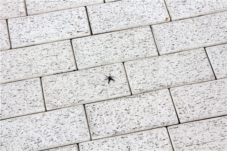 Путешествие в Старицу накануне Светлой Пасхи. Заключительная часть | Бэйбики Путешествие в Старицу накануне Светлой Пасхи. Заключительная часть