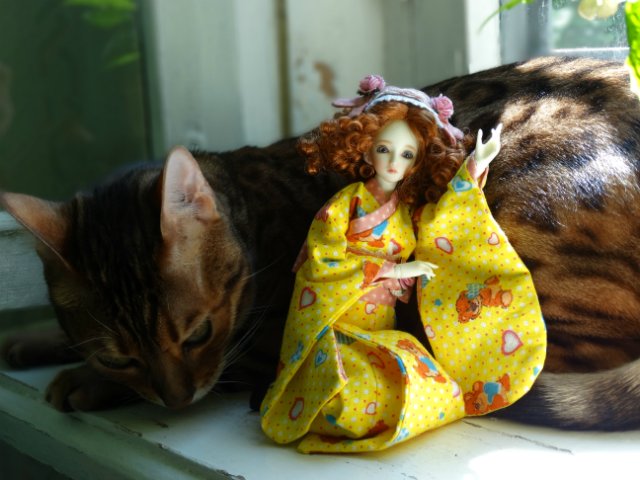 Метелька и её новый друг | Бэйбики Метелька и её новый друг — Куклы Souldoll (Соулдолл): BJD (БЖД)