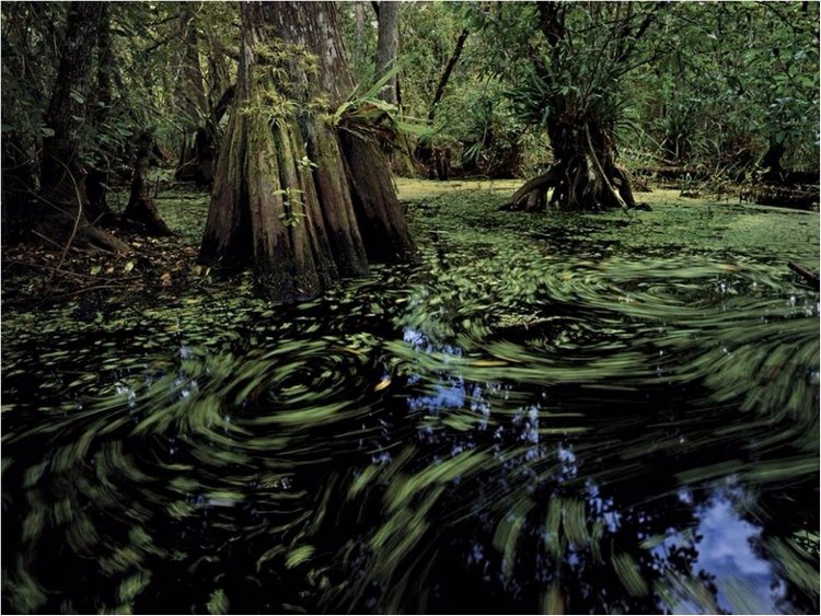 Лучшие фото National Geographic (фото 3)