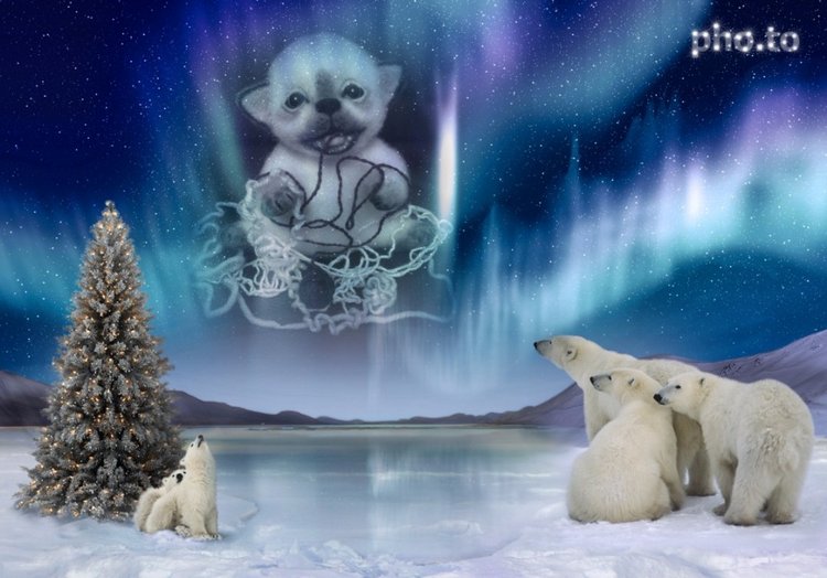 Мои игрушки валянием из шерсти. Сухое валяние (фото 4)