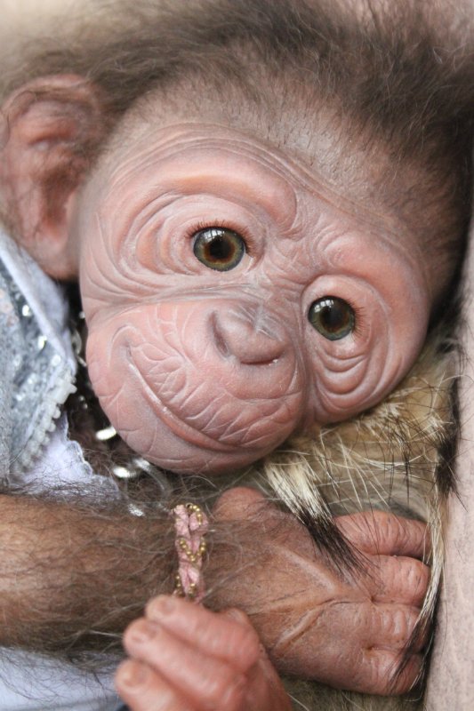 Лерка, кукла-реборн Элины Кудрявцевой