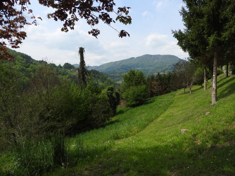 Словения, Светланка и маленький «герой» в одном ботинке