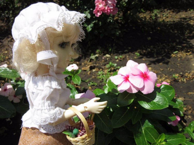 По дороге летним днём Магдалена шла с чепцом (фото 8)