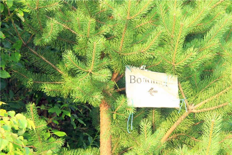 Тверской Водопад — Туризм и путешествия: фотоотчеты из поездок