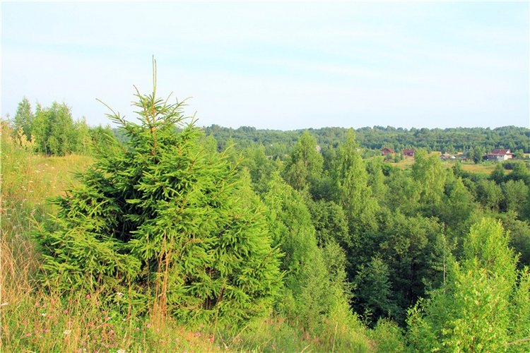 Тверской Водопад — Туризм и путешествия: фотоотчеты из поездок