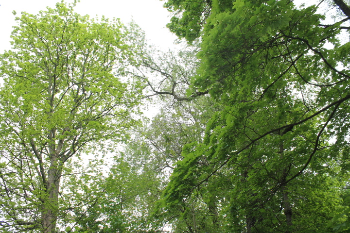 По Германии: зоопарк Лейпцига, часть 1