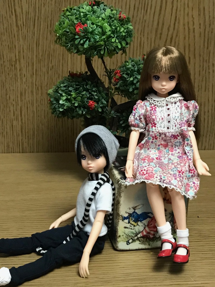 Крошки Руроко — Куклы Momoko и Ruruko (Petworks (фото 6)