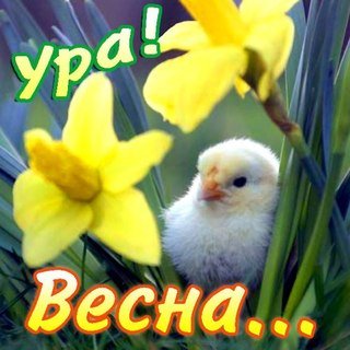 Наступила весна — Болталка и разговоры обо всем: жизнь